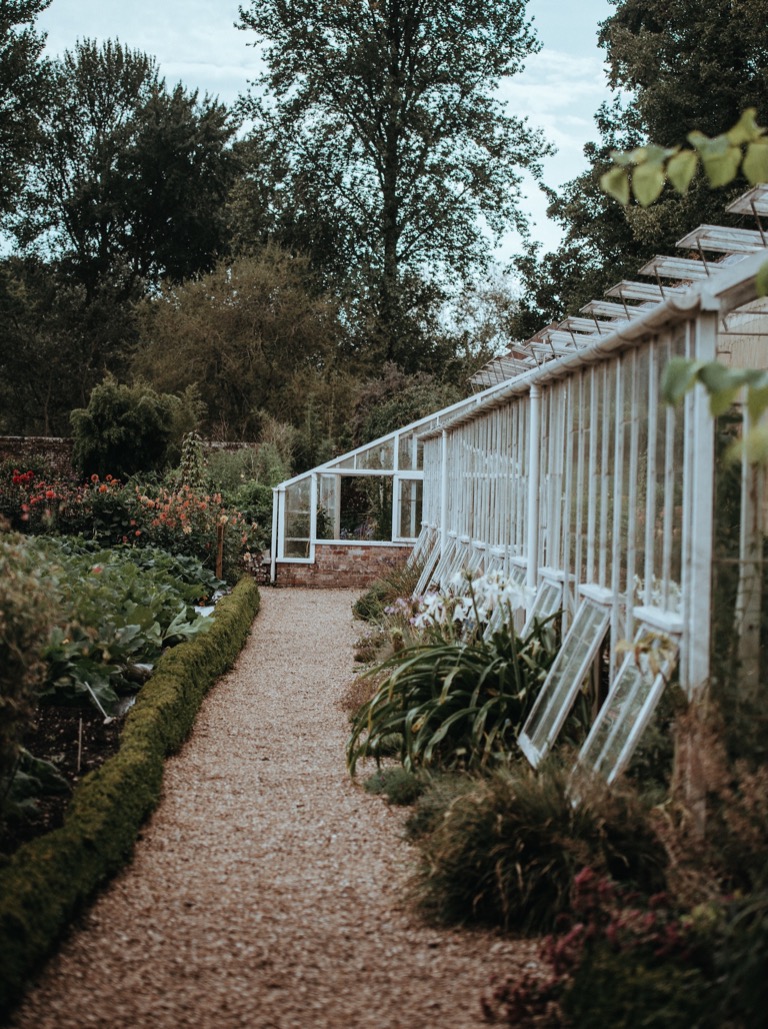 A greenhouse walkway surrounded by dense garden plantings